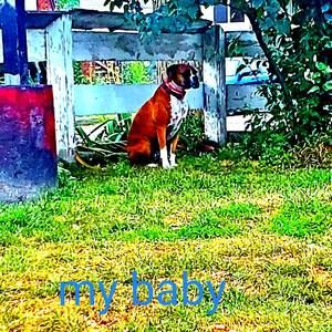 Meet your Posher, Johnny